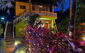 Areca Nest